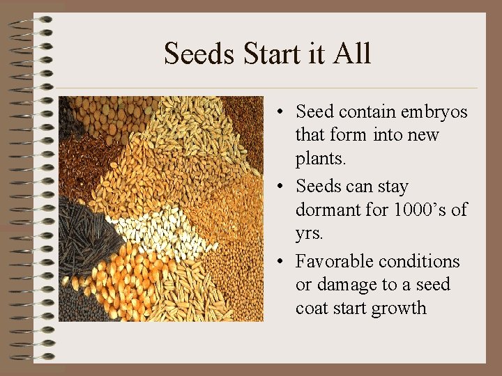 Seeds Start it All • Seed contain embryos that form into new plants. •