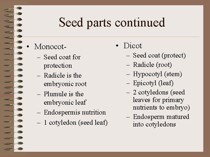 Seed parts continued • Monocot– Seed coat for protection – Radicle is the embryonic