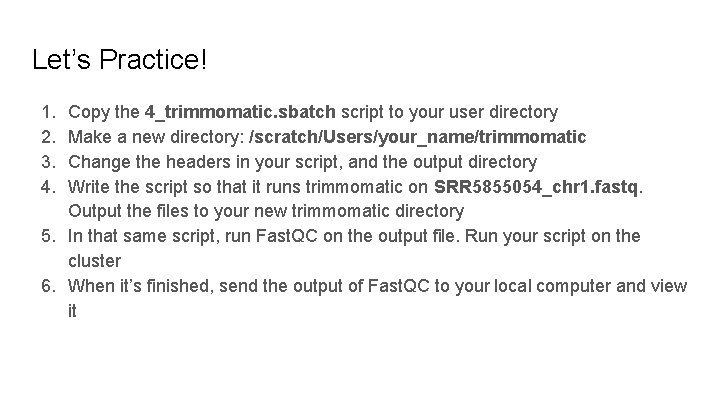 Let’s Practice! 1. 2. 3. 4. Copy the 4_trimmomatic. sbatch script to your user