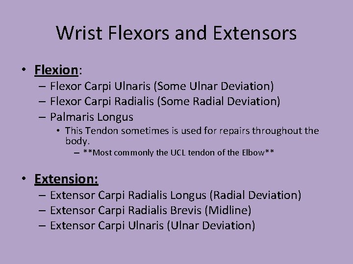 Wrist Flexors and Extensors • Flexion: – Flexor Carpi Ulnaris (Some Ulnar Deviation) –