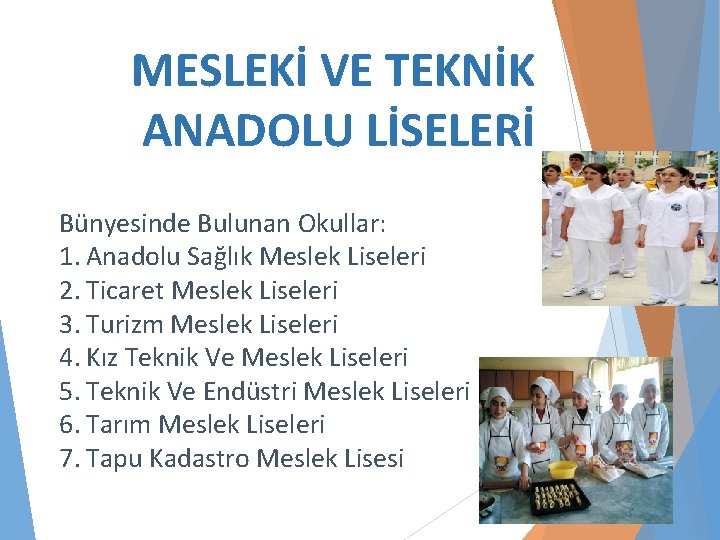 MESLEKİ VE TEKNİK ANADOLU LİSELERİ Bünyesinde Bulunan Okullar: 1. Anadolu Sağlık Meslek Liseleri 2.