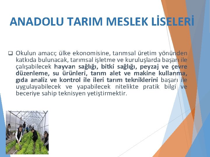 ANADOLU TARIM MESLEK LİSELERİ q Okulun amacı; ülke ekonomisine, tarımsal üretim yönünden katkıda bulunacak,