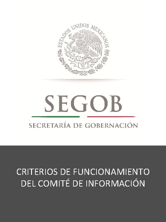 CRITERIOS DE FUNCIONAMIENTO DEL COMITÉ DE INFORMACIÓN 