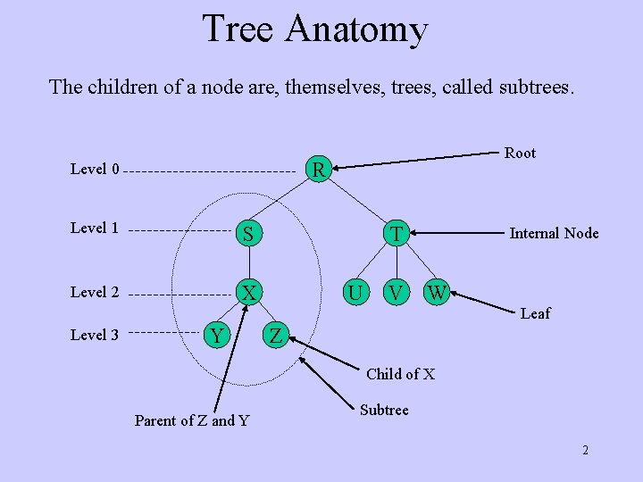 Tree Anatomy The children of a node are, themselves, trees, called subtrees. R Level