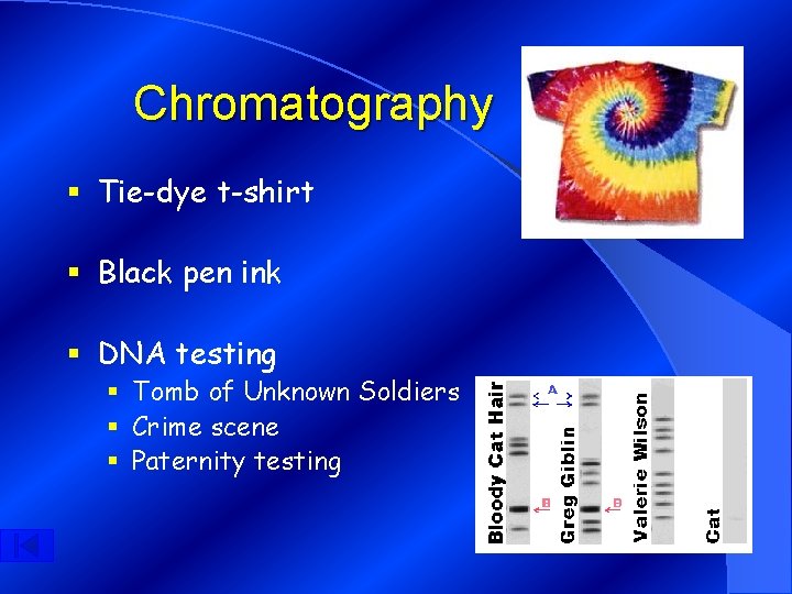 Chromatography § Tie-dye t-shirt § Black pen ink § DNA testing § Tomb of