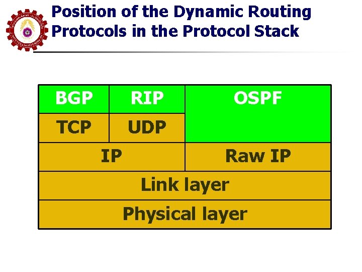 Position of the Dynamic Routing Protocols in the Protocol Stack BGP RIP TCP UDP