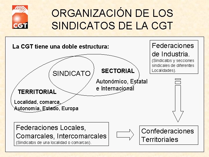 ORGANIZACIÓN DE LOS SINDICATOS DE LA CGT Federaciones de Industria. La CGT tiene una