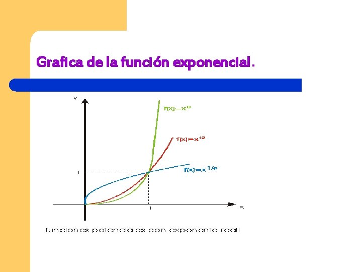 Grafica de la función exponencial. 