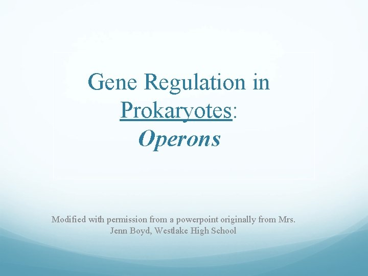 Gene Regulation in Prokaryotes: Operons Modified with permission from a powerpoint originally from Mrs.