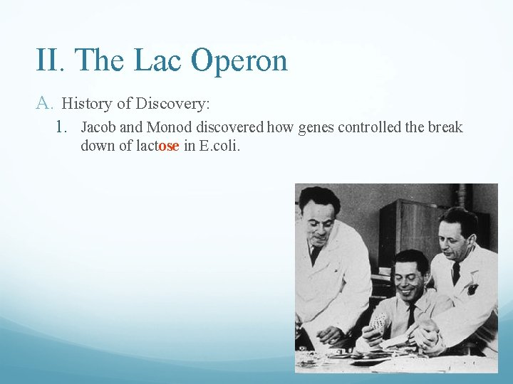 II. The Lac Operon A. History of Discovery: 1. Jacob and Monod discovered how