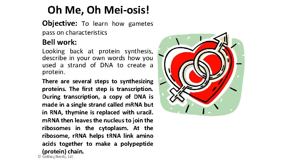 Oh Me Oh Meiosis Objective To learn how