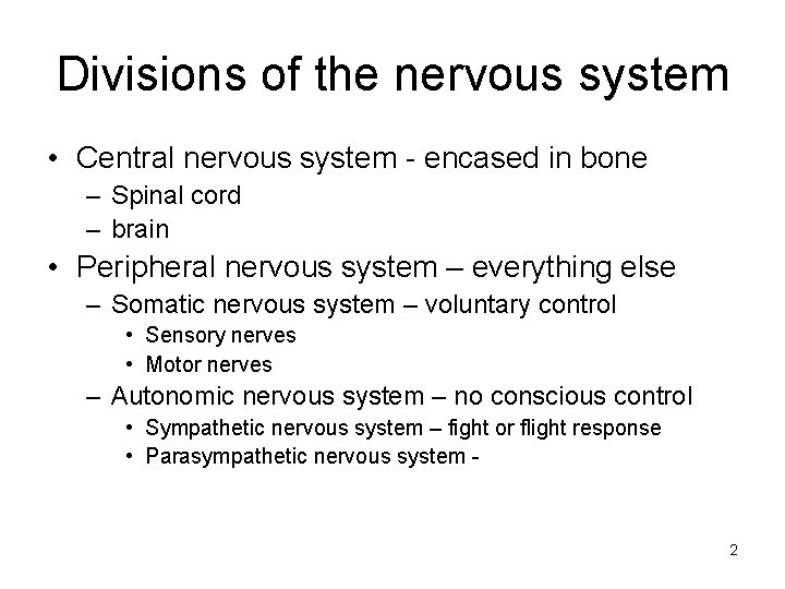 Divisions of the nervous system • Central nervous system - encased in bone –