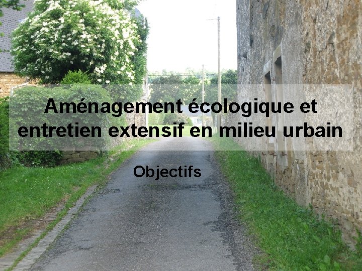 Aménagement écologique et entretien extensif en milieu urbain Objectifs 