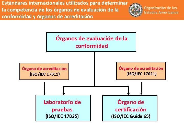 Estándares internacionales utilizados para determinar la competencia de los órganos de evaluación de la