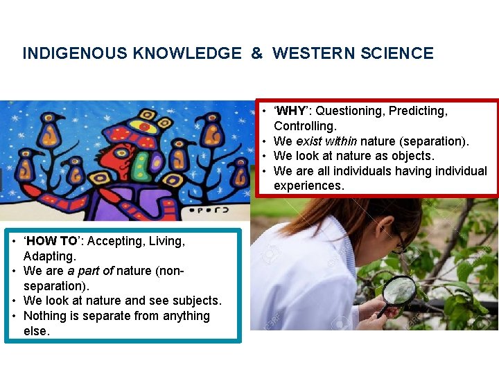 INDIGENOUS KNOWLEDGE & WESTERN SCIENCE • ‘WHY’: Questioning, Predicting, Controlling. • We exist within
