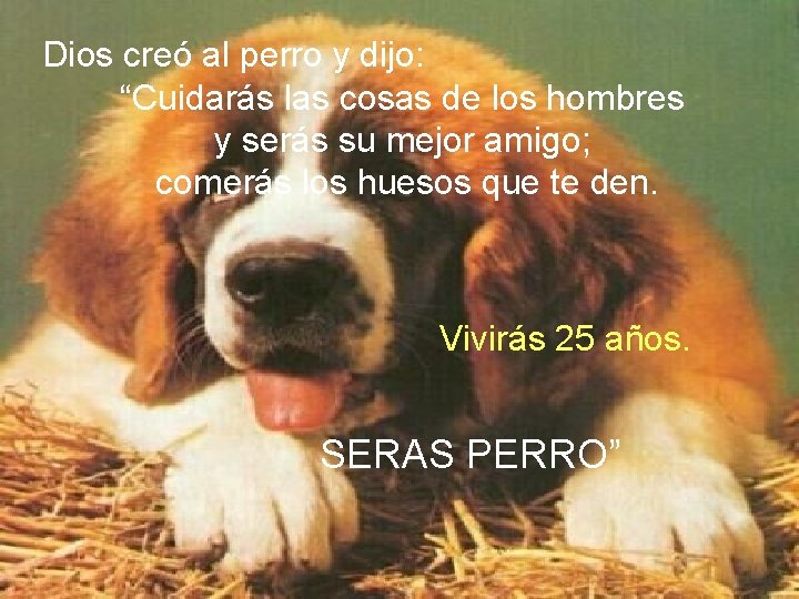 Dios creó al perro y dijo: “Cuidarás las cosas de los hombres y serás Dios creó al perro y dijo: “Cuidarás las cosas de los hombres y serás
