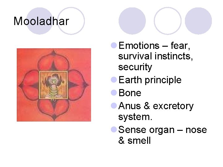 Mooladhar l Emotions – fear, survival instincts, security l Earth principle l Bone l