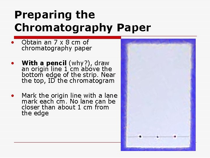 Preparing the Chromatography Paper • Obtain an 7 x 8 cm of chromatography paper