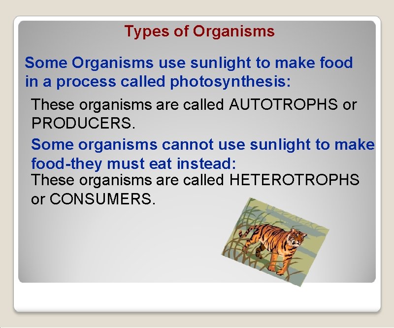 Types of Organisms Some Organisms use sunlight to make food in a process called