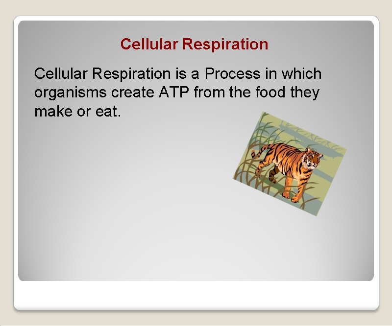 Cellular Respiration is a Process in which organisms create ATP from the food they