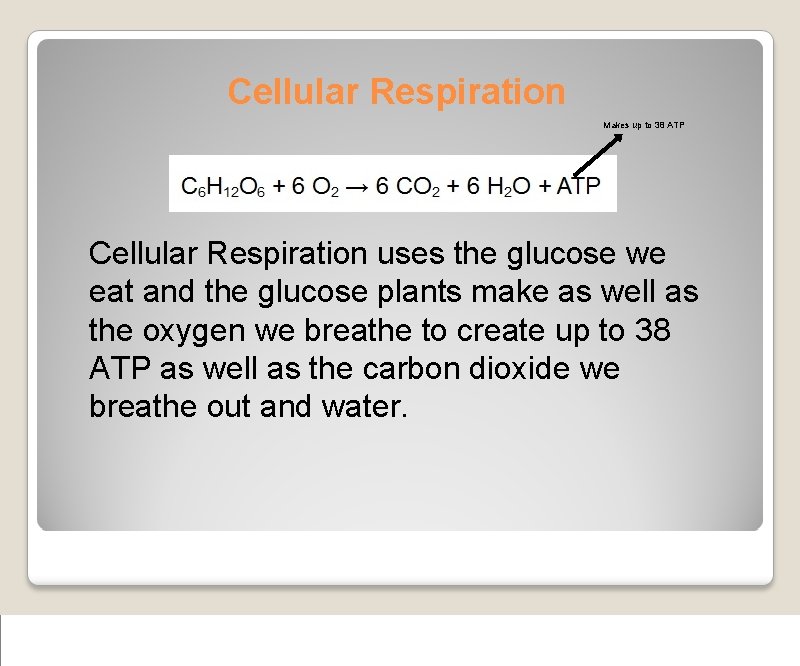 Cellular Respiration Makes up to 38 ATP Cellular Respiration uses the glucose we eat