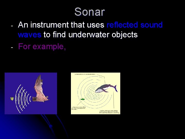 Sonar - An instrument that uses reflected sound waves to find underwater objects For