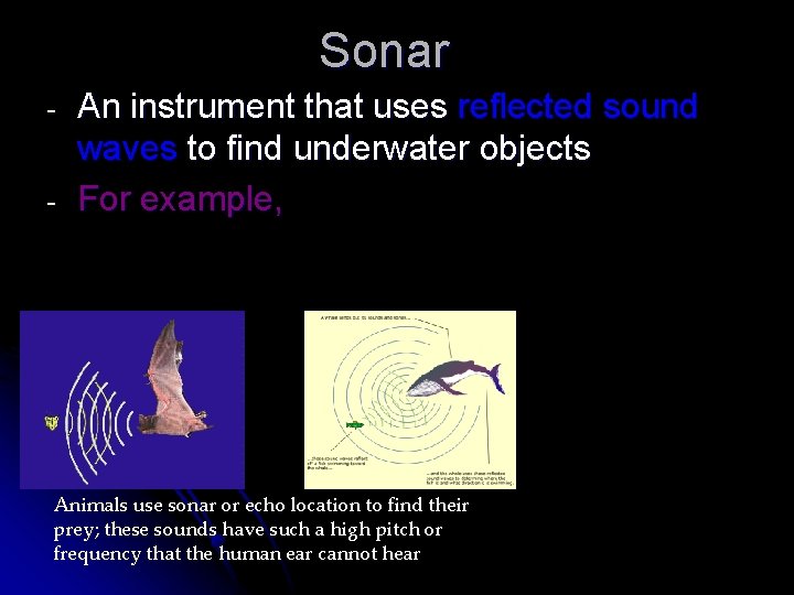 Sonar - An instrument that uses reflected sound waves to find underwater objects For