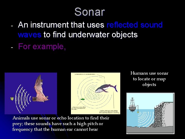 Sonar - An instrument that uses reflected sound waves to find underwater objects For