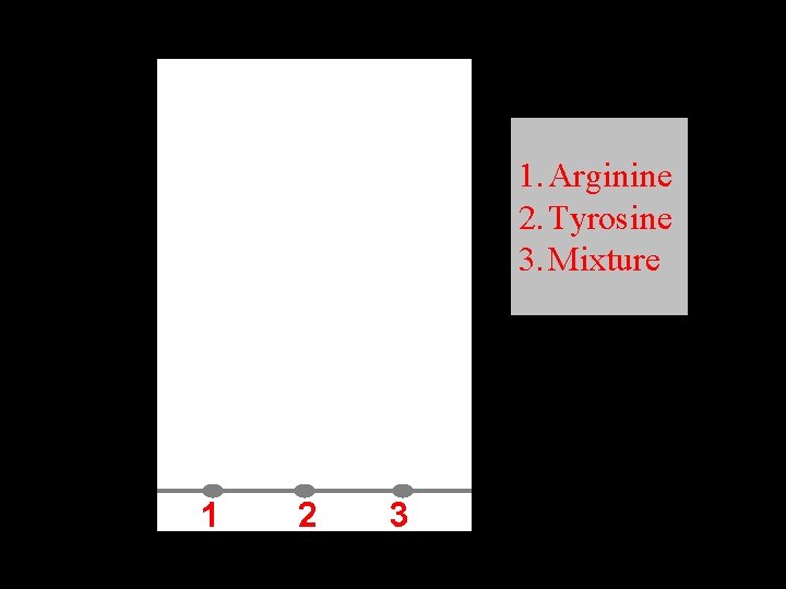 1. Arginine 2. Tyrosine 3. Mixture 1 2 3 