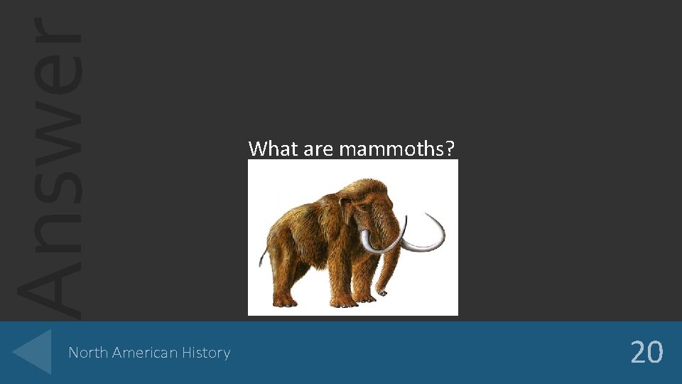 Answer North American History What are mammoths? 20 