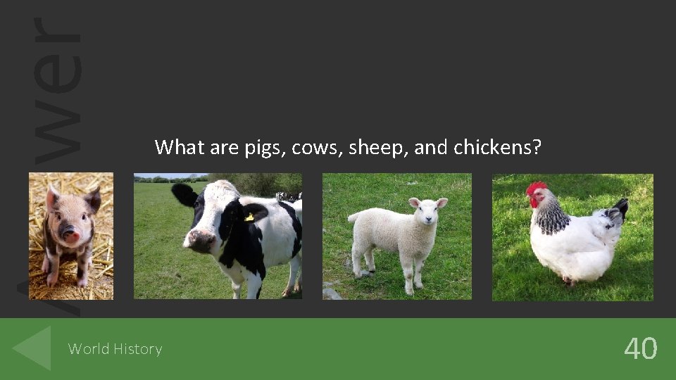 Answer What are pigs, cows, sheep, and chickens? World History 40 