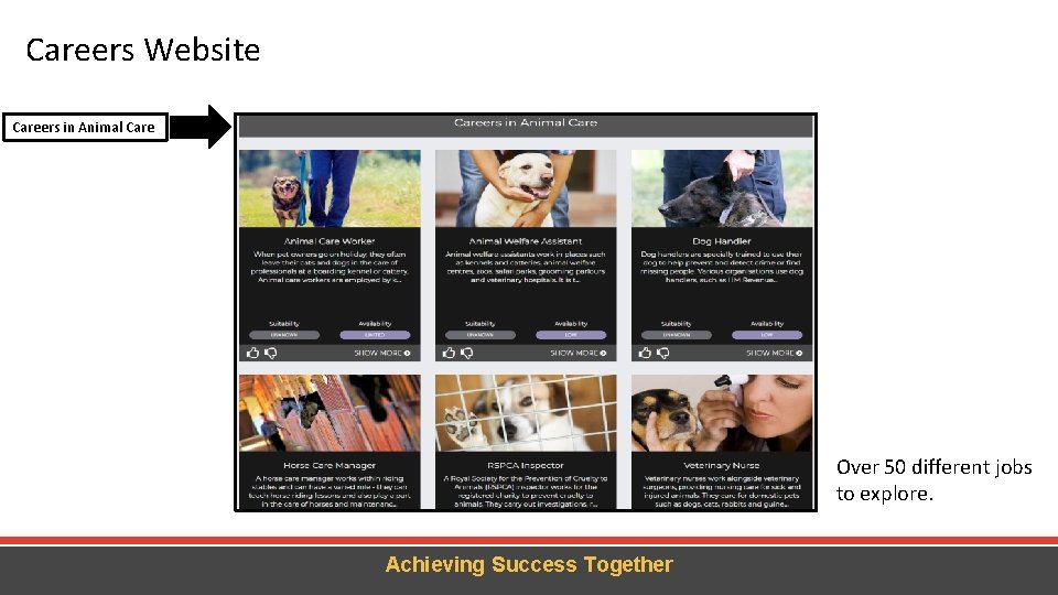 Careers Website Careers in Animal Care Over 50 different jobs to explore. Achieving Success