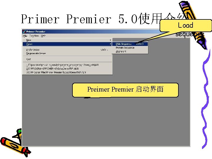 Primer Premier 5. 0使用介绍 Load sequence Preimer Premier 启动界面 