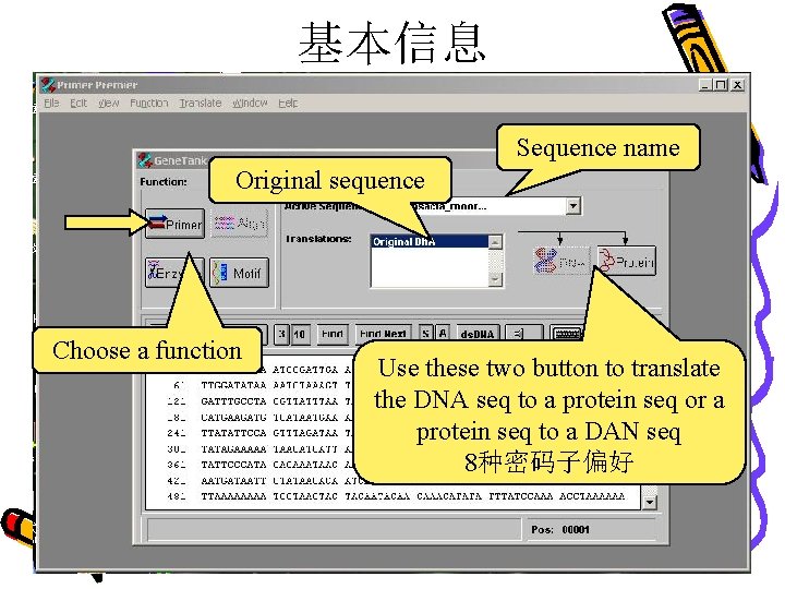 基本信息 Sequence name Original sequence Choose a function Use these two button to translate