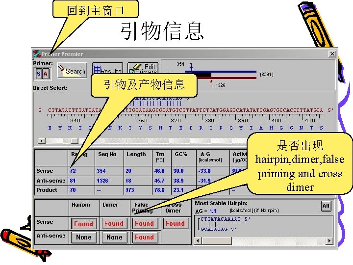 回到主窗口 引物信息 引物及产物信息 是否出现 hairpin, dimer, false priming and cross dimer 