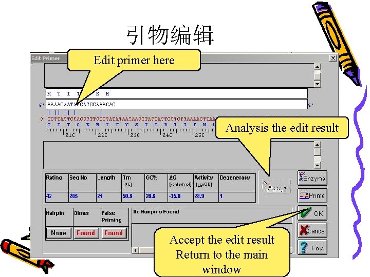 引物编辑 Edit primer here Analysis the edit result Accept the edit result Return to