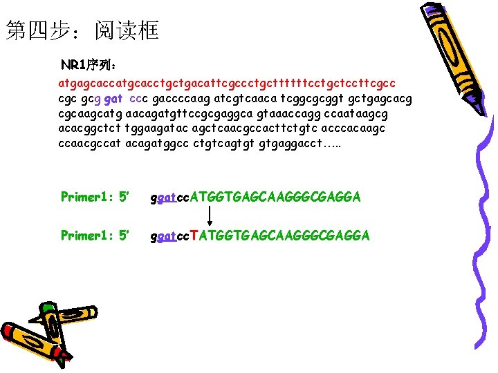 第四步：阅读框 NR 1序列： atgagcaccatgcacctgctgacattcgccctgcttttttcctgctccttcgcc cgc gcg gat ccc gaccccaag atcgtcaaca tcggcgcggt gctgagcacg cgcaagcatg aacagatgttccgcgaggca