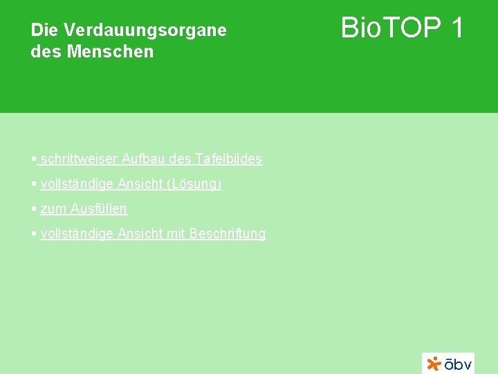 Die Verdauungsorgane des Menschen § schrittweiser Aufbau des Tafelbildes § vollständige Ansicht (Lösung) §