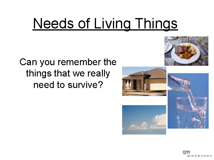 Needs of Living Things Can you remember the things that we really need to