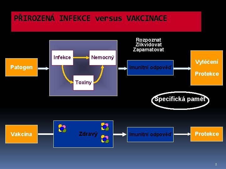 PŘIROZENÁ INFEKCE versus VAKCINACE Rozpoznat Zlikvidovat Zapamatovat Infekce Nemocný Patogen Imunitní odpověď Vyléčení Protekce