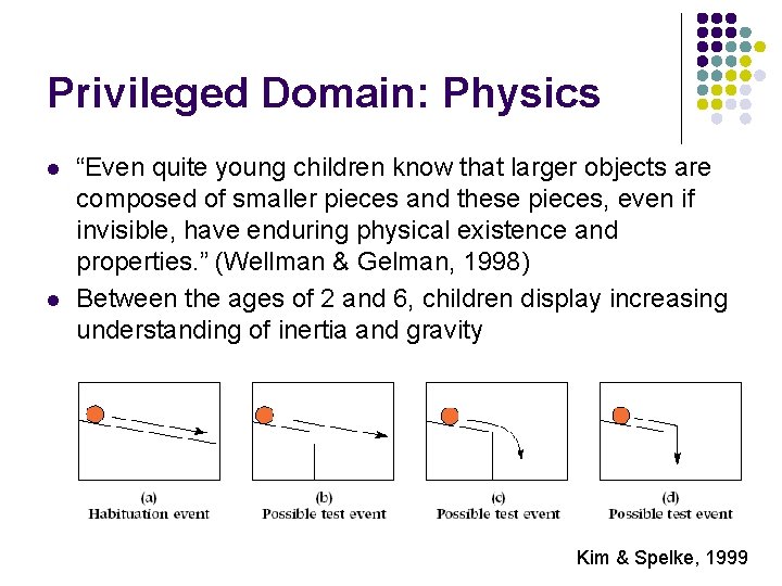 Privileged Domain: Physics l l “Even quite young children know that larger objects are