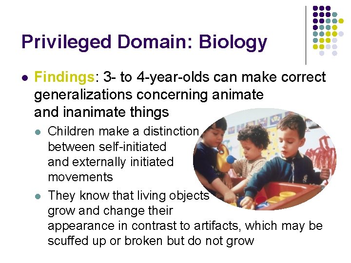 Privileged Domain: Biology l Findings: 3 - to 4 -year-olds can make correct generalizations Privileged Domain: Biology l Findings: 3 - to 4 -year-olds can make correct generalizations