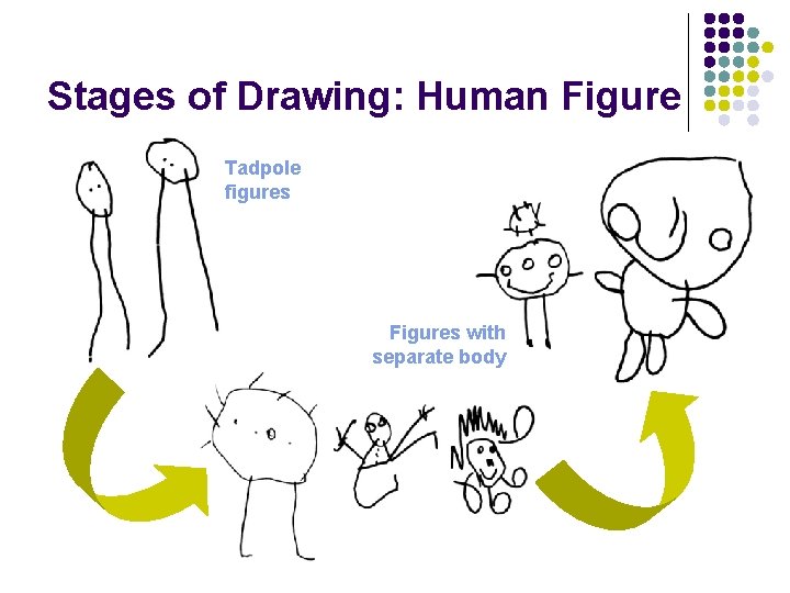 Stages of Drawing: Human Figure Tadpole figures Figures with separate body 