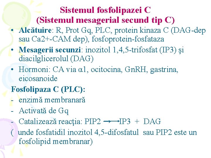 Sistemul fosfolipazei C (Sistemul mesagerial secund tip C) • Alcătuire: R, Prot Gq, PLC,