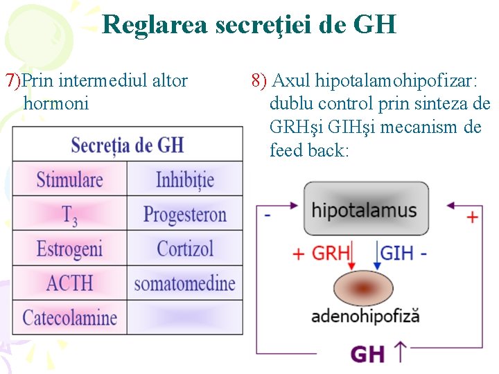 Reglarea secreţiei de GH 7)Prin intermediul altor hormoni 8) Axul hipotalamohipofizar: dublu control prin