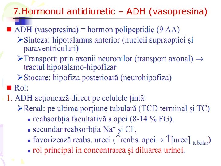 7. Hormonul antidiuretic – ADH (vasopresina) 