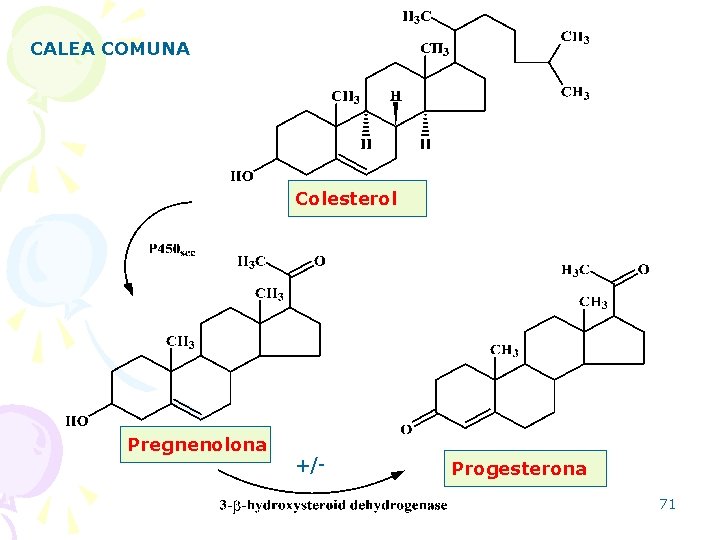 CALEA COMUNA Colesterol Pregnenolona +/- Progesterona 71 
