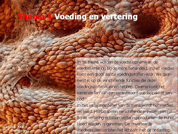 Thema 4 Voeding en vertering In dit thema worden de voedselopname en de voedselvertering