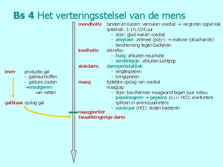 Bs 4 Het verteringsstelsel van de mens mondholte keelholte slokdarm lever productie gal -