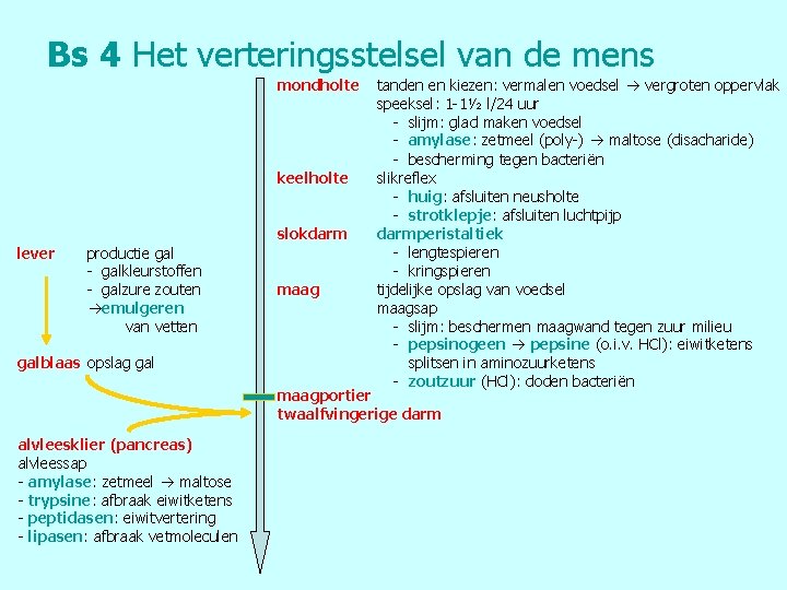 Bs 4 Het verteringsstelsel van de mens mondholte keelholte slokdarm lever productie gal -